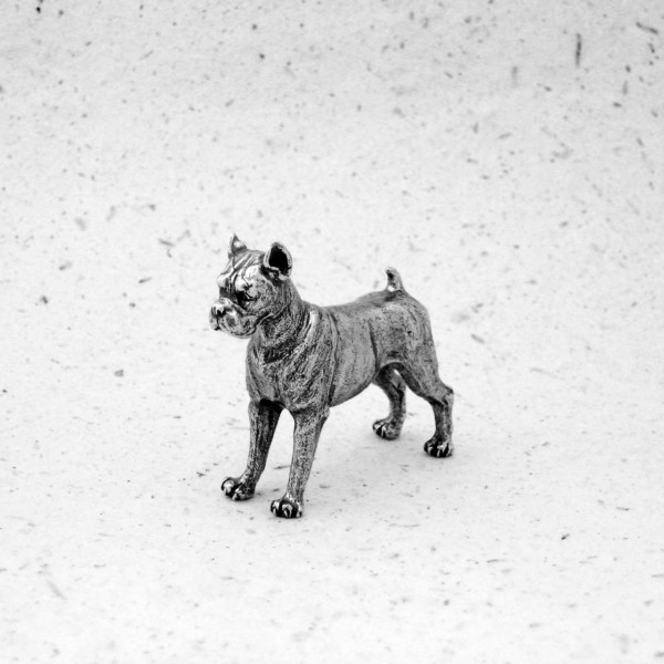 Boxer