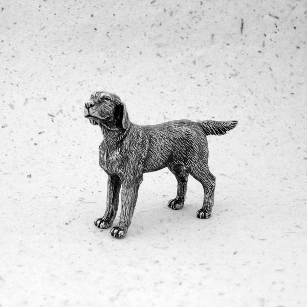 Labrador